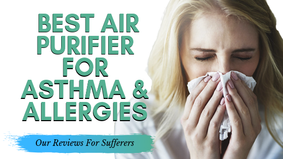 Best Air Purifier For Asthma & Allergies