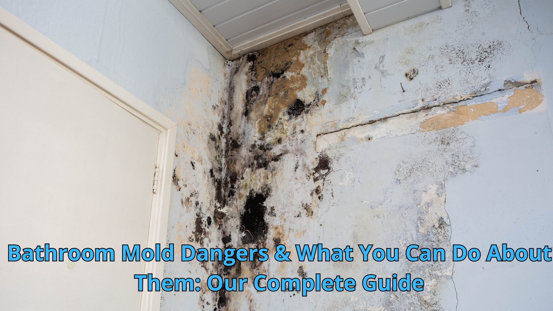 Bathroom Mold Dangers